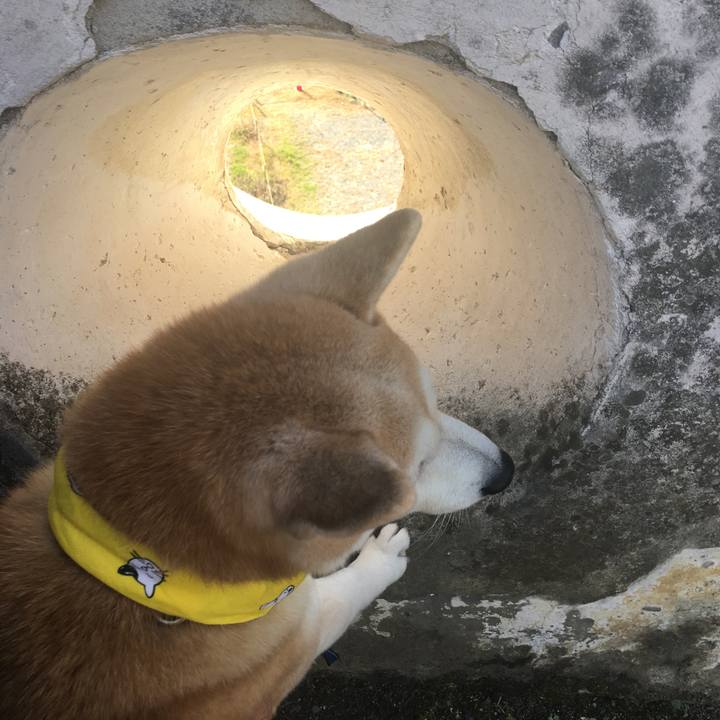 8d4e672d f690 46d8 a6e9 655e741fd7ac