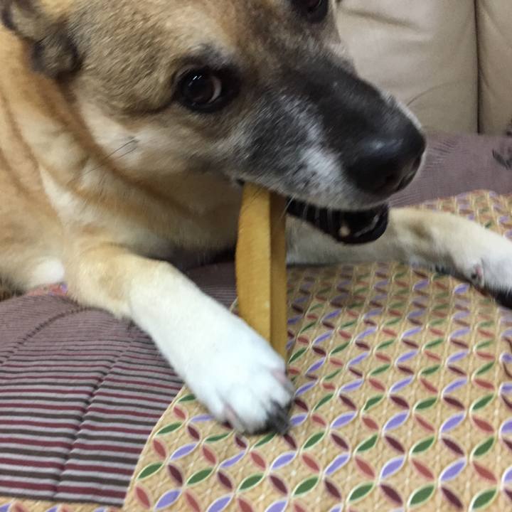 8d4f616d f1d0 4c53 928d 26c1340584de