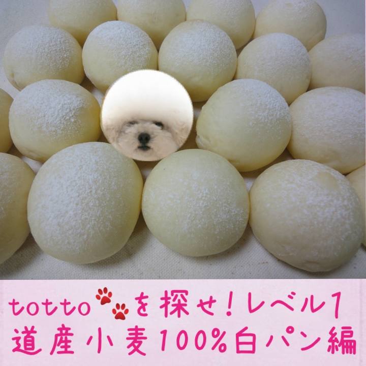 8d4f7770 6d9a 4830 8d23 e413b96c24bc