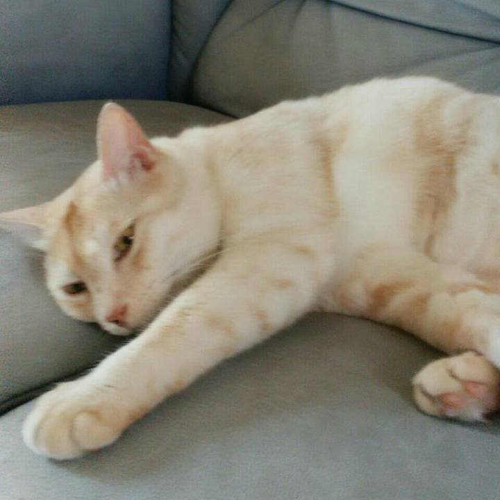 8d4fe790 220b 47f2 ba75 0acff3599804