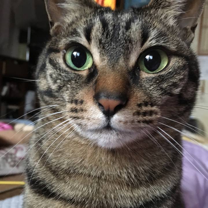 8d4fff05 1434 44b6 b41f 7c0e41970fe2