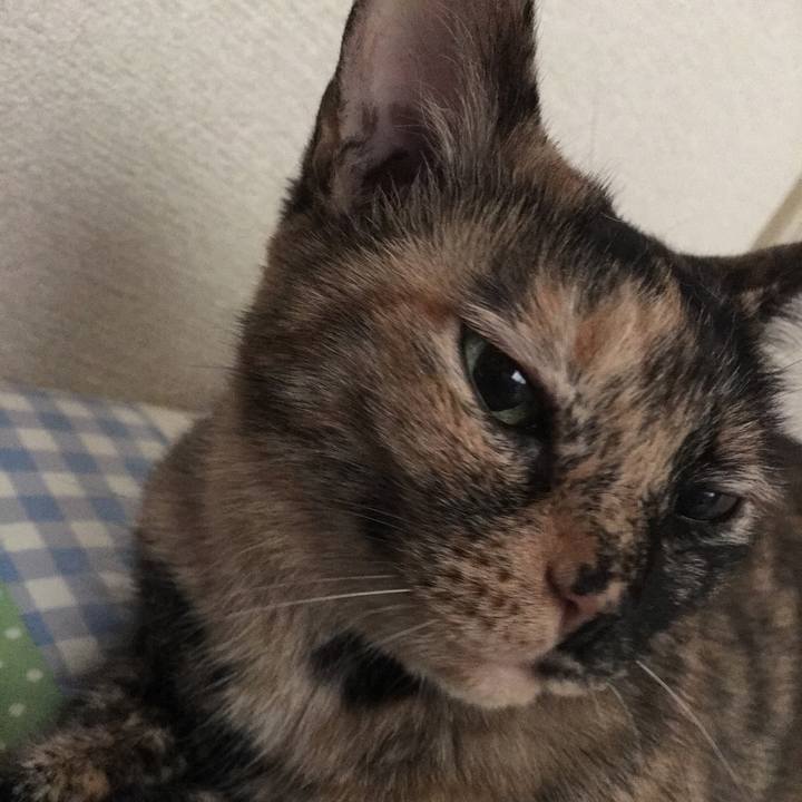 8d503a11 c0e1 44b1 b5b0 f0333e1674c9