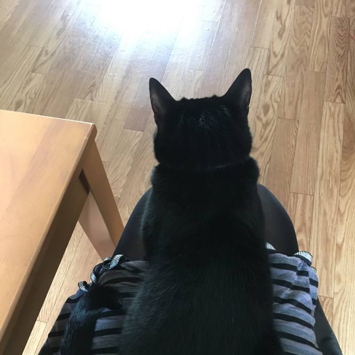 8d50c889 4793 4740 8106 2da8f11ef3e9