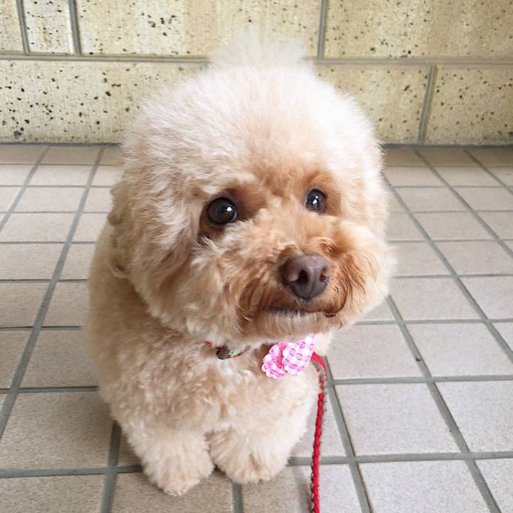 8d50cdcc 533e 4431 a7fc 53d3a4e10076