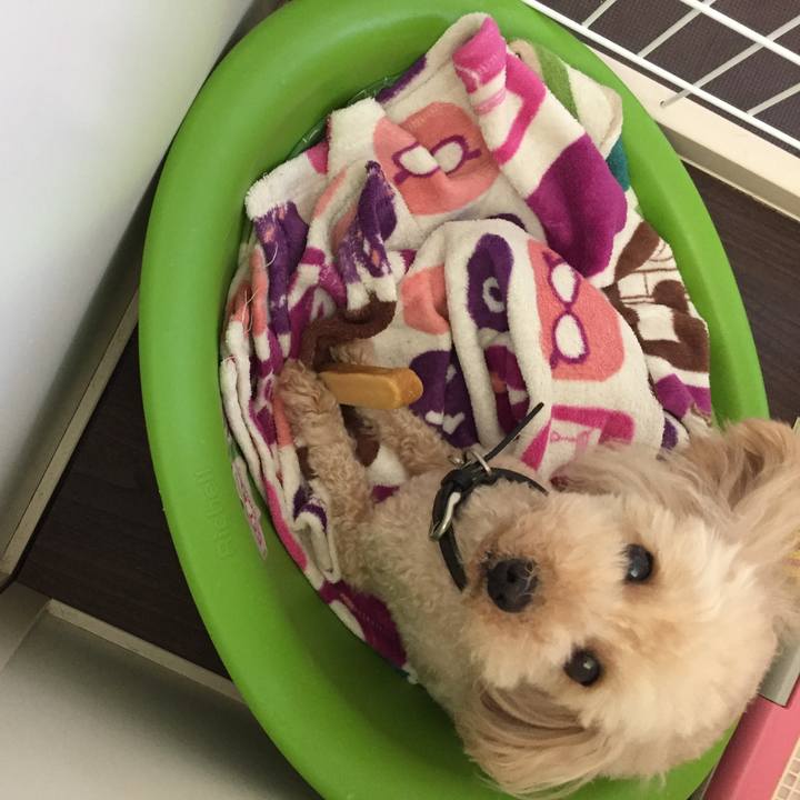 8d50f015 c81c 44be b230 cf18f45fb563