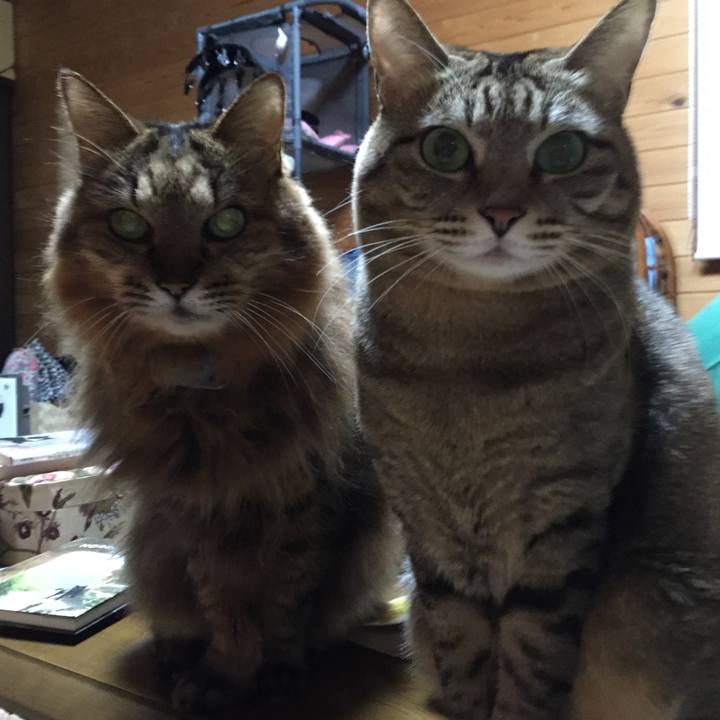 8d511e9c d2af 4ce2 bfc7 556a72803be9