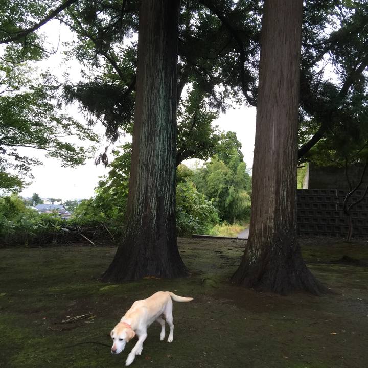 8d527802 9e4a 4d39 9f2a 4cd1e6e9ff04