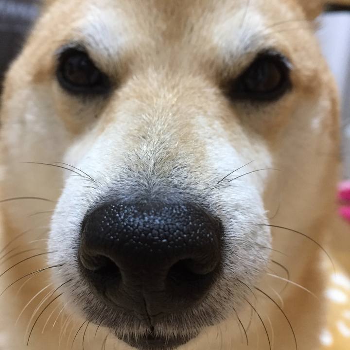 8d52d63a 0c85 45cf ac51 d850b41b0a3d