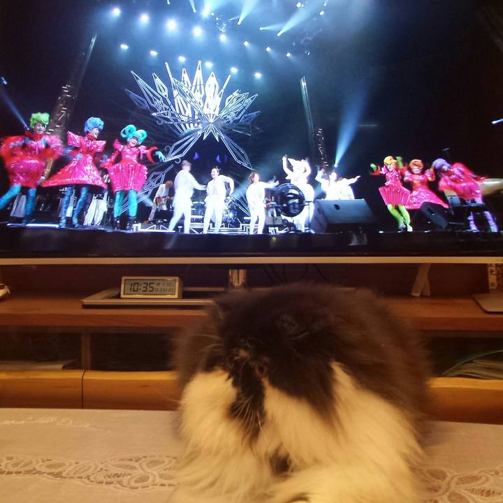 8d53fcb2 c064 41ca 9bbe 25255eae5550