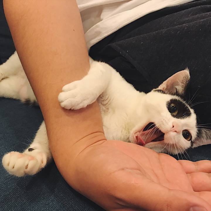 8d540c78 762b 41bd 84c6 c738b7eca1ef