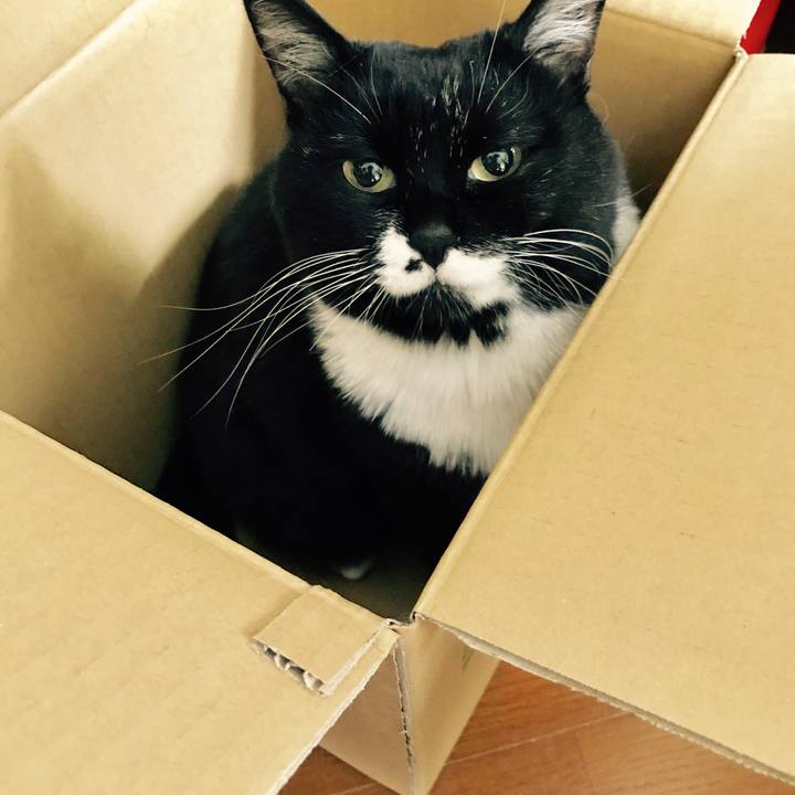 8d548d0f ba75 4c0b 98e1 c200093c0946