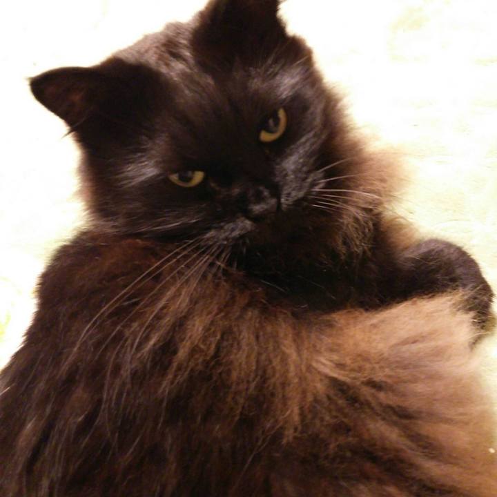 8d563180 5dd6 4ea3 8131 1fb20afec63f