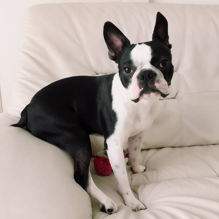 8d564194 112e 4fbc 9f82 d05842fbca97