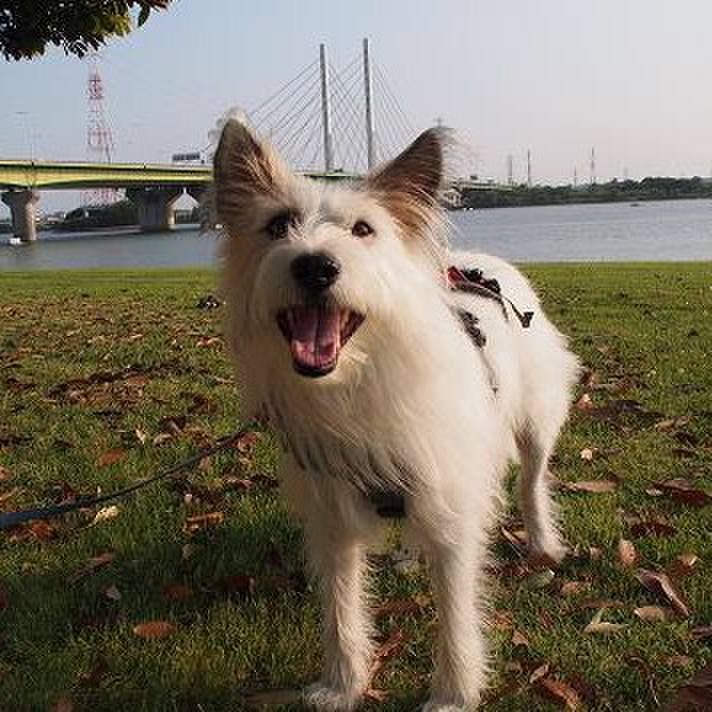 8d56ba99 295f 43b5 8c07 3e3cb49ad420