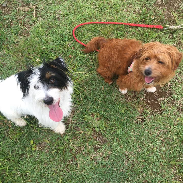 8d573e81 683f 4a16 a21c 97fa43c3a926