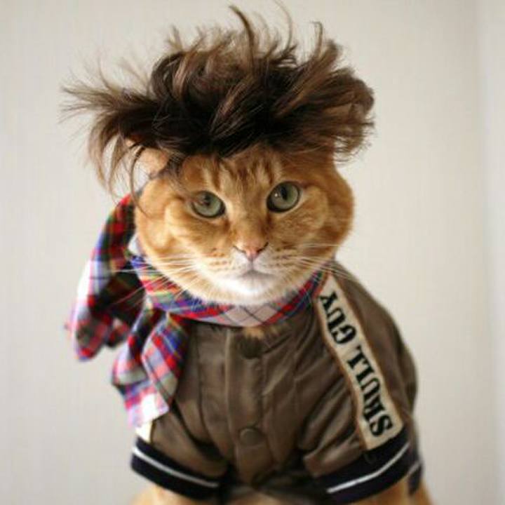 8d57c8f9 a933 47aa bcec 8b63ddd405db