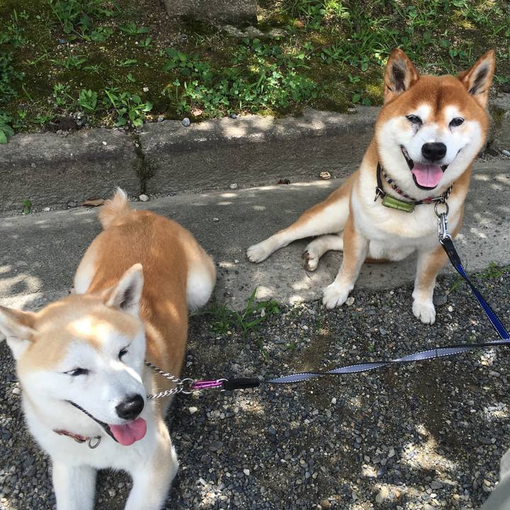 8d585a6a e424 471f 9322 025853bb1856