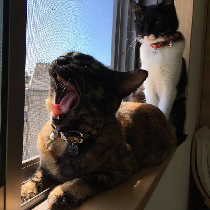 8d599b2f a3f3 4dd8 9413 3e1515dbcfb6