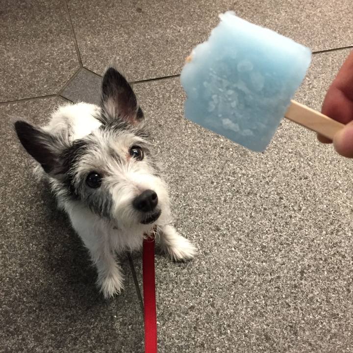 8d5a62ec 3516 466a b11c ba8ab1c9d699