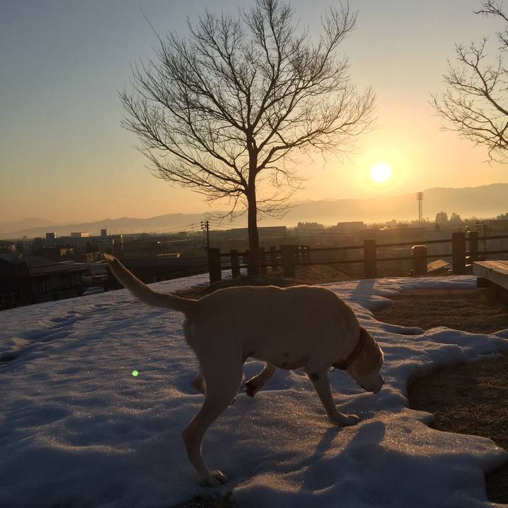 8d5a883e 363b 4f93 981b 427dc8752c84