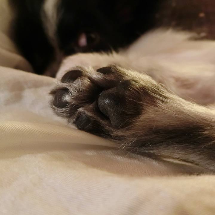 8d5b4dc8 e918 4e0e 874e ae9e9fcf8391