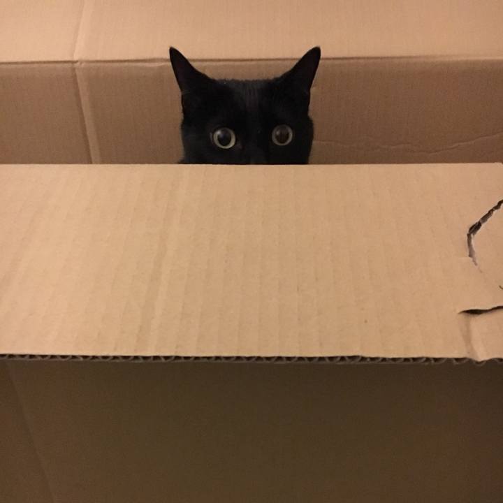 8d5b84a3 234a 4de8 92ab d05ac0e31f1d