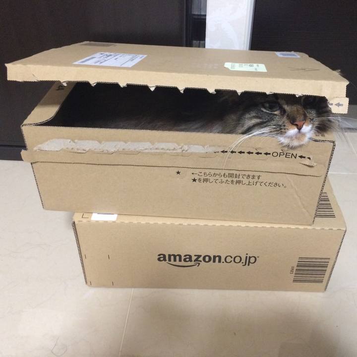 8d5c66a2 b873 4323 b84f 9dec7af5f2e1