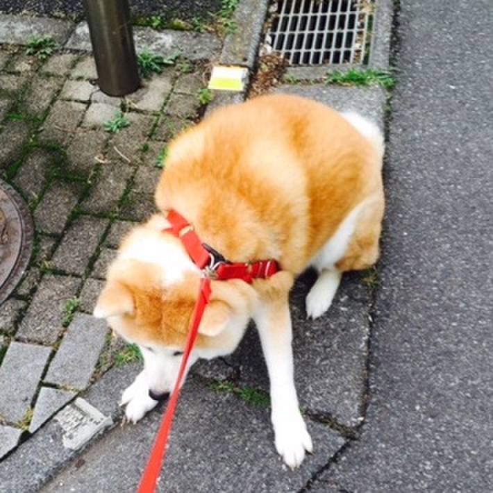 8d5cedb0 8054 4cd9 b395 ea4c28653a7b