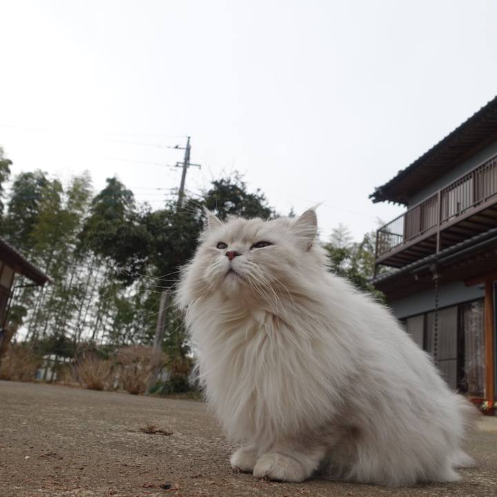 8d5d03ad f968 40f6 b8c8 1b91310ef91e