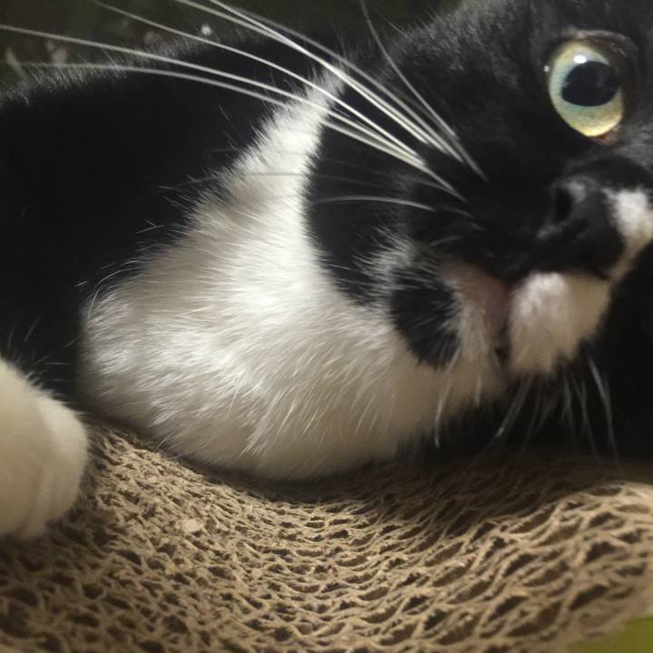 8d5db854 35a2 4f9b 939a 503ad40e9749