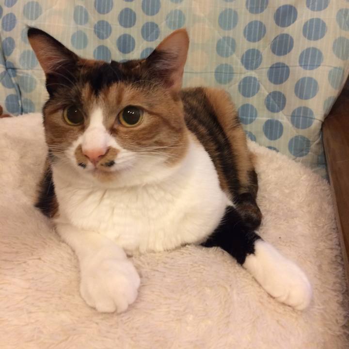 8d5df379 59b2 4ffe 850e 6a4b75a1e99e