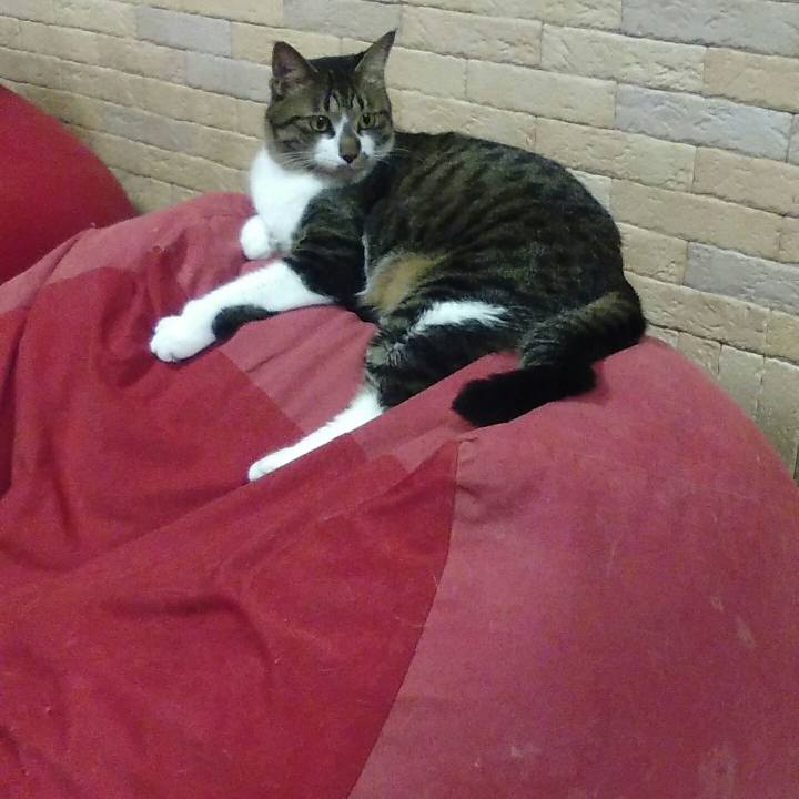 8d5ecd10 1f32 4880 bb63 3c38cd0bc536