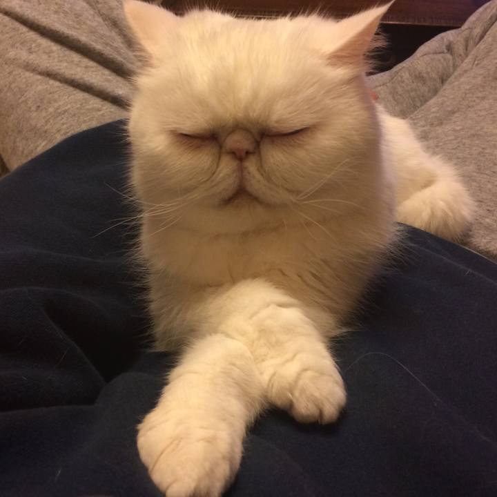 8d5f1503 b53c 4b05 9e65 96b0f4db1a53