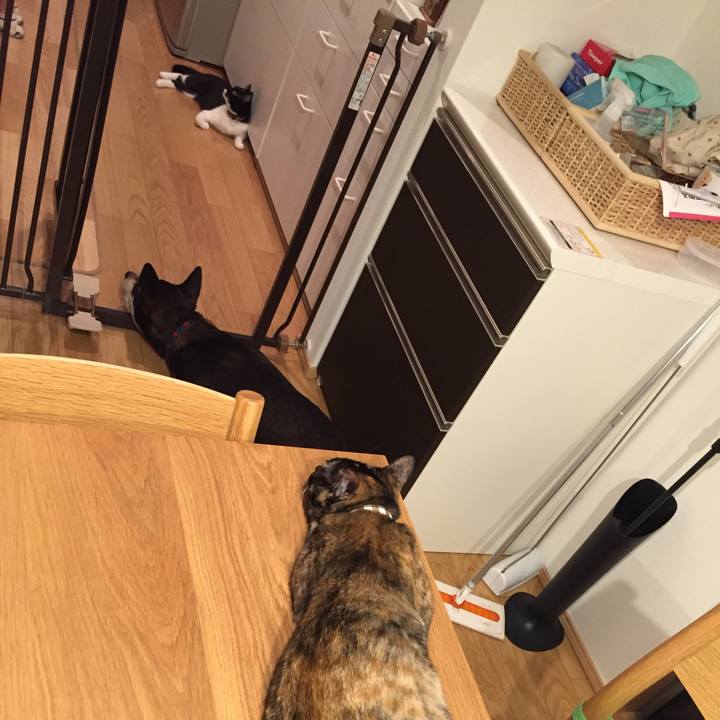 8d5fd6af b78a 4cf7 b859 39476db51fec