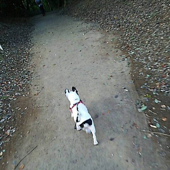 8d602461 1901 4a57 829f e456c14c45d8