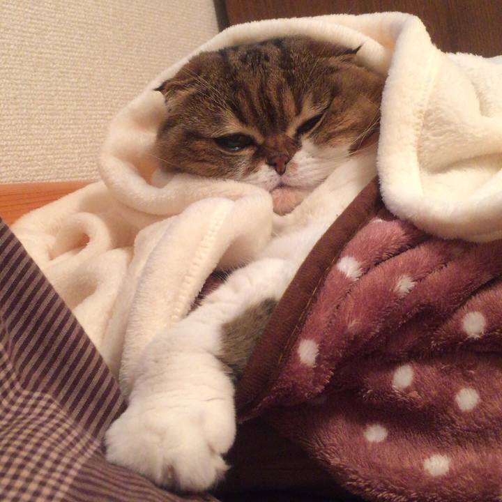 8d60674e 6bed 4f46 a2be 52025be2c1b6