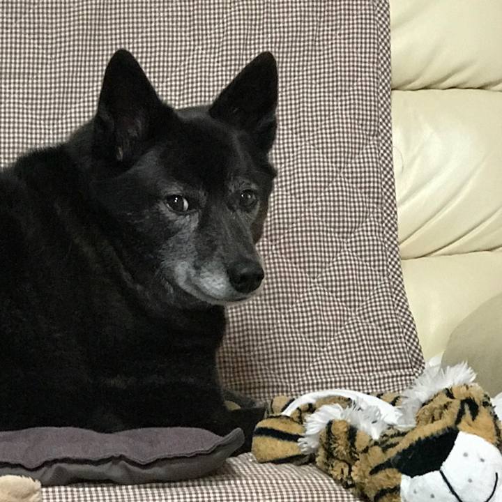 8d6119bc 7ae9 4934 b495 ba85383aa8ac