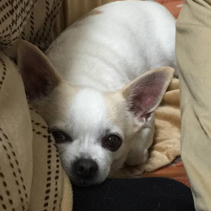 8d61923e d98e 4bf5 952c 9d37f2e997a3