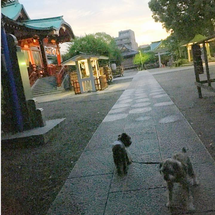 8d619b20 7459 45f8 ba5d fcab7a3e4f38