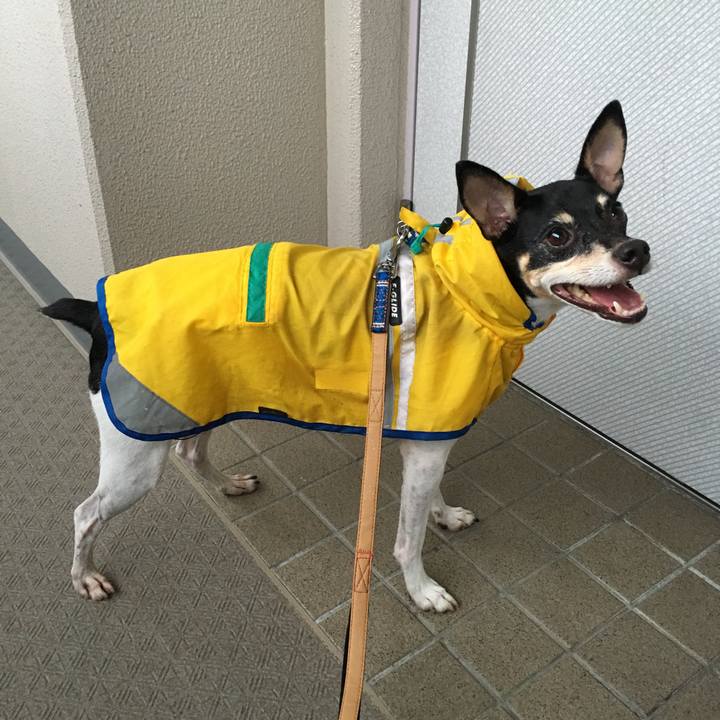 8d61b532 60c0 46ae b5d5 31950f693822