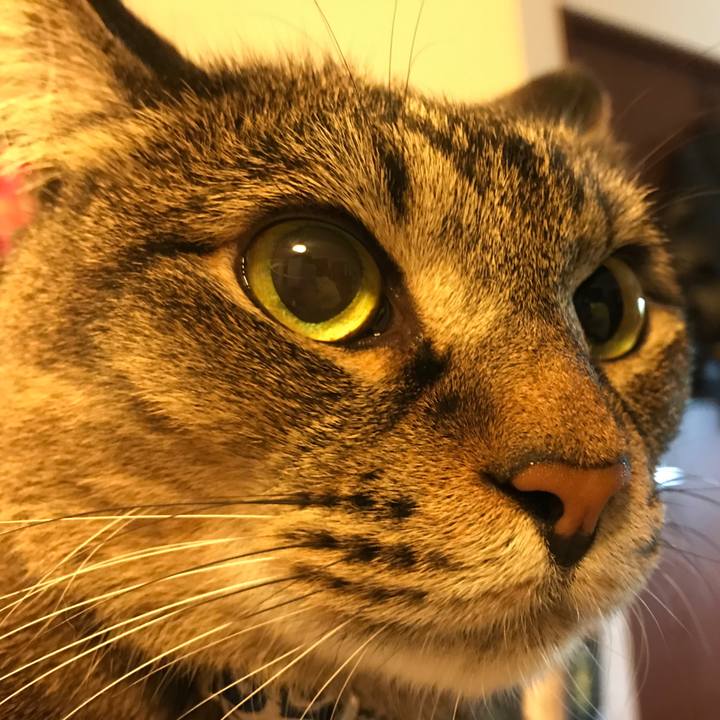 8d62ca9e 6e20 4d11 a711 df3454f566f4