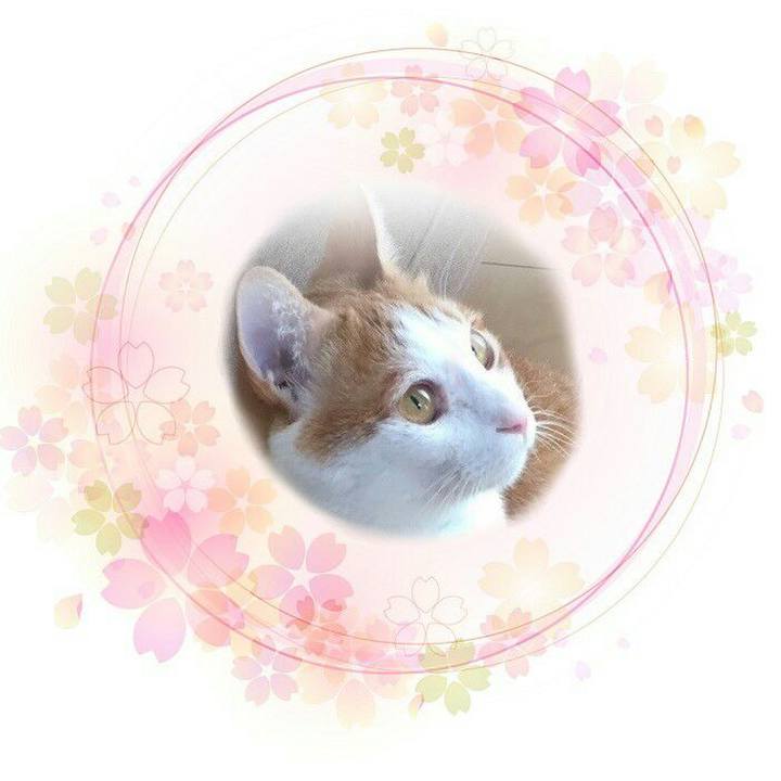 8d62fca0 8cef 434e a396 3636174658a9