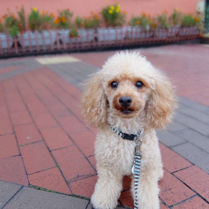 8d63317f ce15 4b83 82e4 0c33a4ea6463