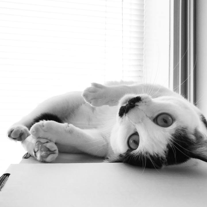 8d63612f ced4 4a75 9754 ce138d576902