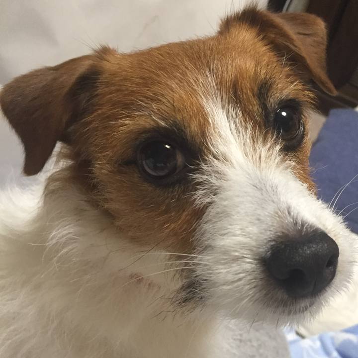 8d63924e e92f 4a45 b9e9 499725bf797c