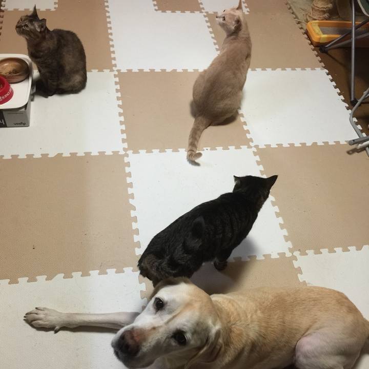 8d63e682 6afe 4bce 8923 e680e866a834