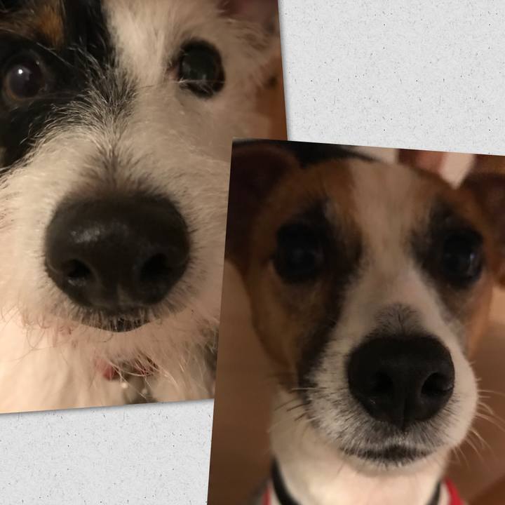 8d651e05 5bab 4f72 8770 bb9fde63da02