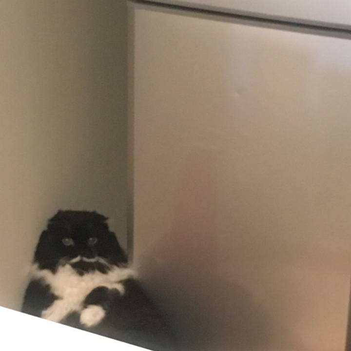 8d6551cc 650f 4b2b 817b f196d5dc0224