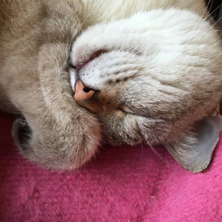 8d65a769 642c 4ecb 9eda 614489e85b28