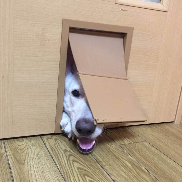 8d65d967 0362 4d7a a043 50ce1e6157dd